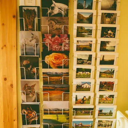 Hotell De La Chaux-d'abel La Ferrière