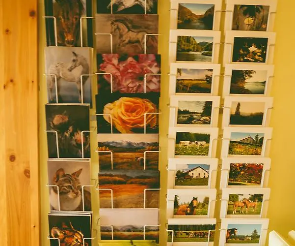 Otel De La Chaux-d'abel La Ferrière